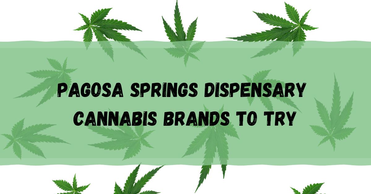 Shop Cannabis at The Smoke Rings Dispensary Pagosa Springs